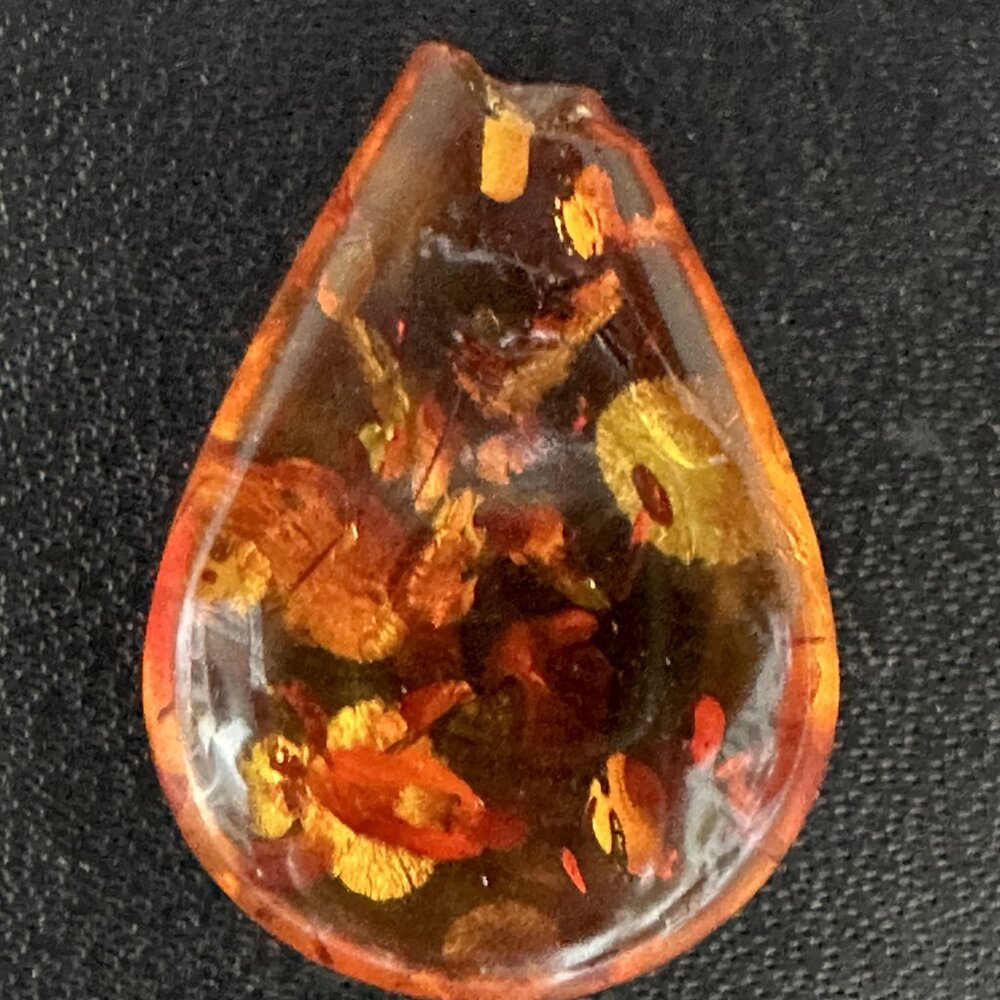 Natural amber with botanical inclusions